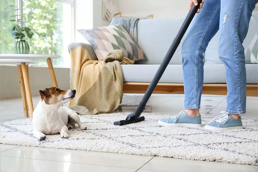 Carpet Cleaning: